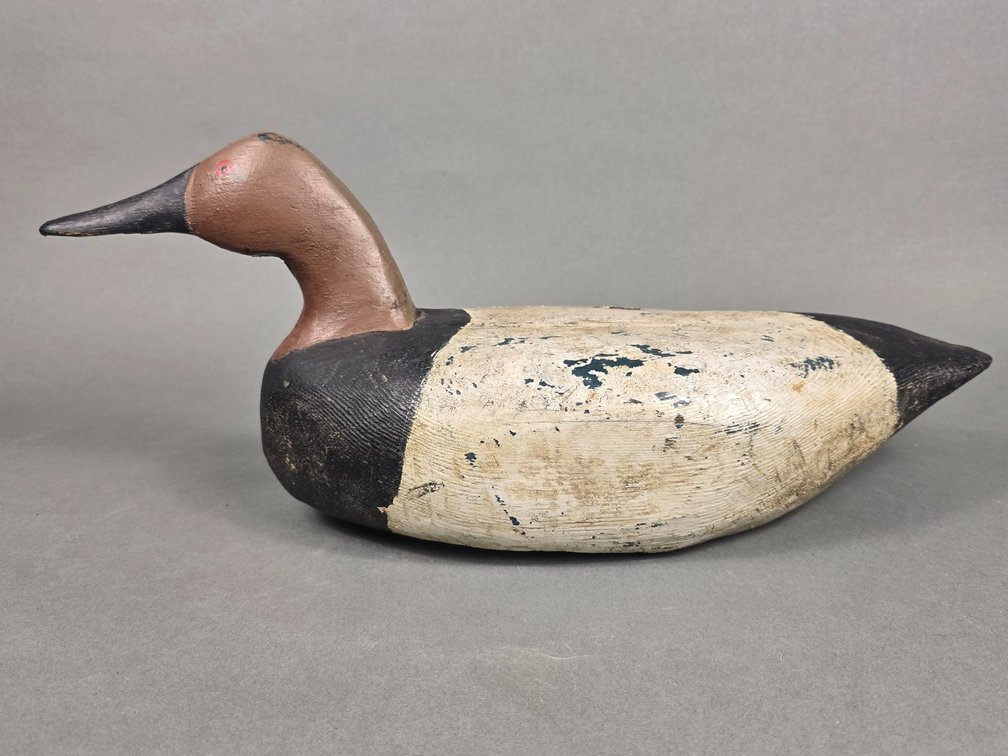 Canvasback Swimmer by Unknown Maker