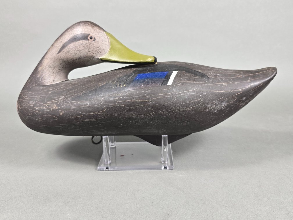 Jim Pierce,  Havre de Grace,  Black Duck