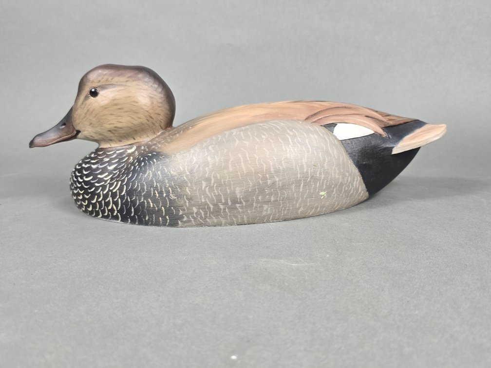 Gary Marshall,  Cambridge,  MD Gadwall
