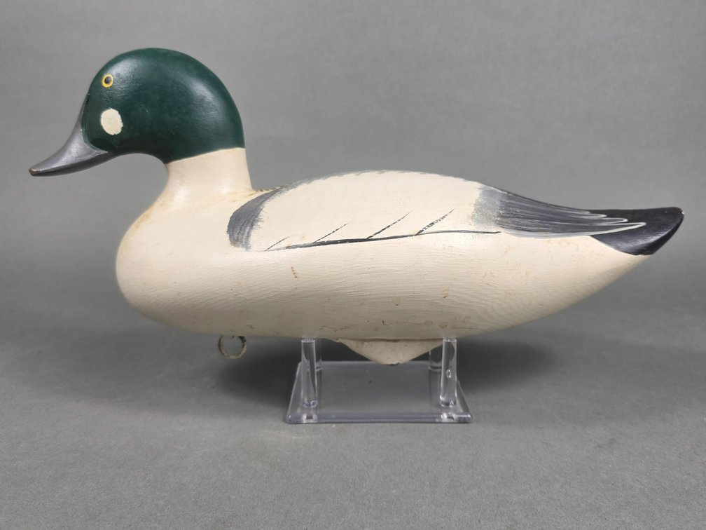 Upper Chesapeake Bay Goldeneye