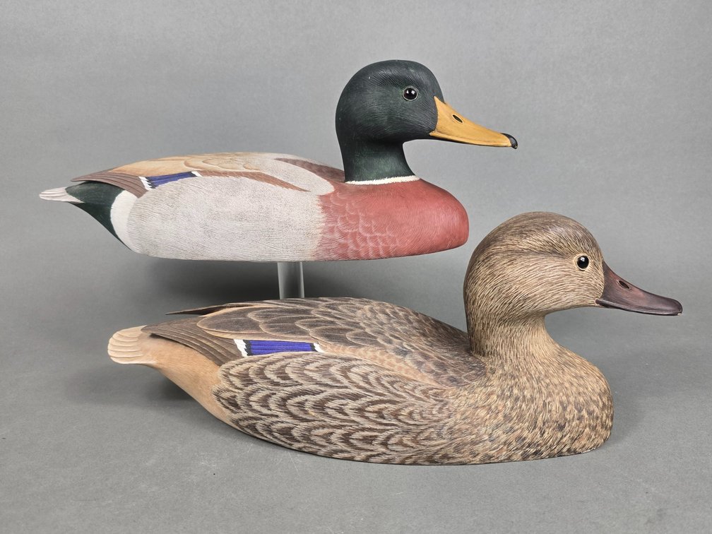 Tom Ahern, Bethlehem,  PA, Mallard Pair