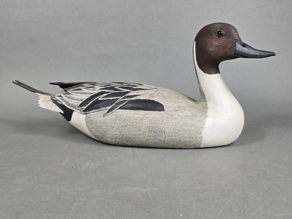 Decorative Pintail by Unknown Maker