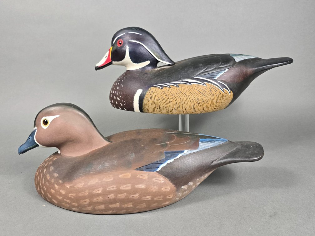 Gary Marshall,  Cambridge,  MD Wood Duck Pair