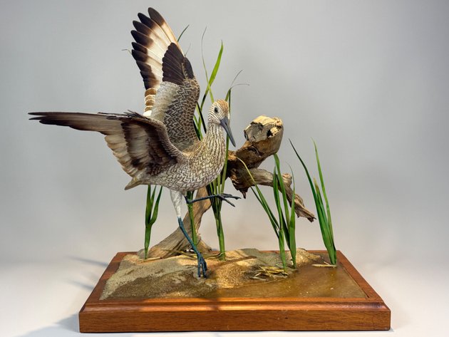 Image for Two Day Fall Sportsman's Auction Session 1