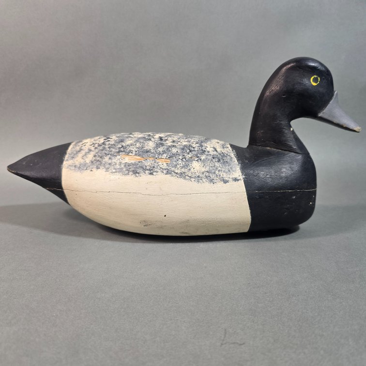 Eugene Ortley,  Lovelandtown, NJ Bluebill