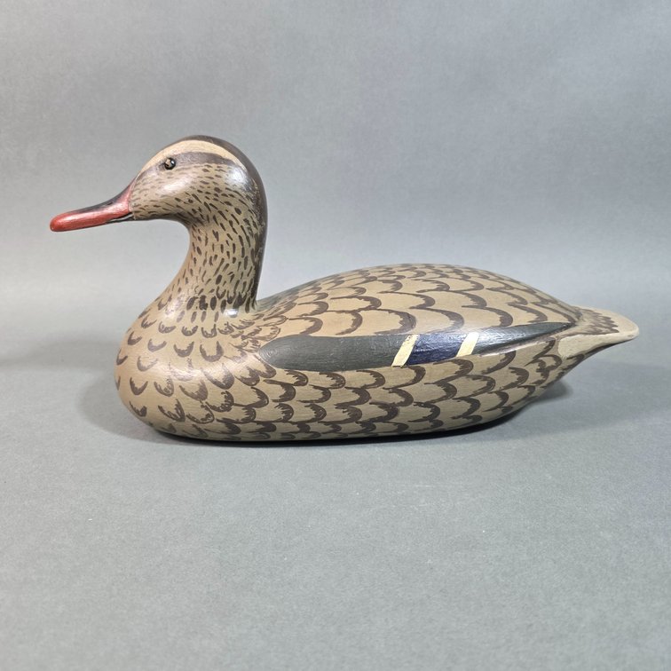 Carl Brown, Napa, CA Mallard Hen