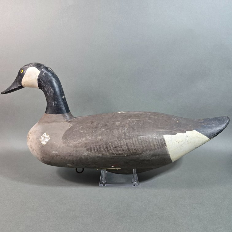Madison Mitchell Havre de Grace,  MD Canada Goose