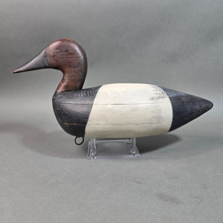 Parsons Canvasback