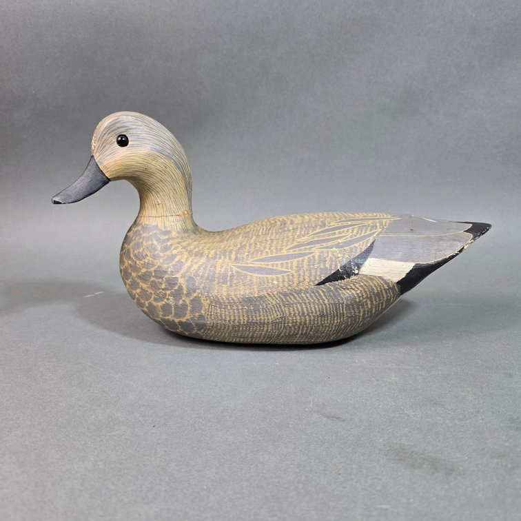 Gary Crossman,  Chincoteague,  VA Gadwall Hen