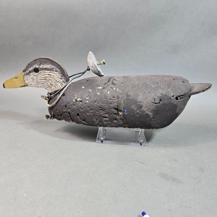 Grayson Chesser,  Jenkins Bridge,  VA Black Duck