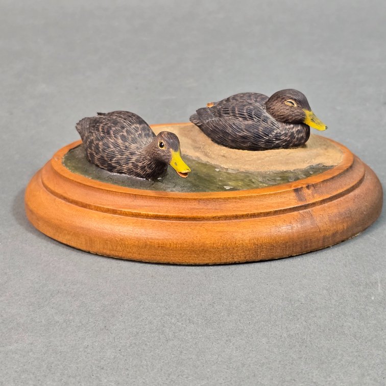 John Harlow,  Black Duck Minis