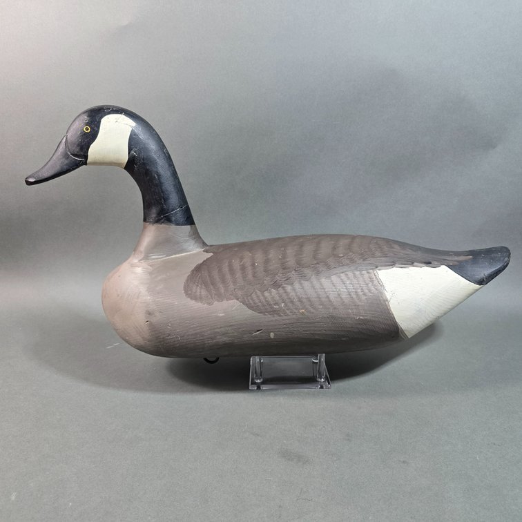 Early Madison Mitchell,  Havre de Grace,  MD Canada Goose