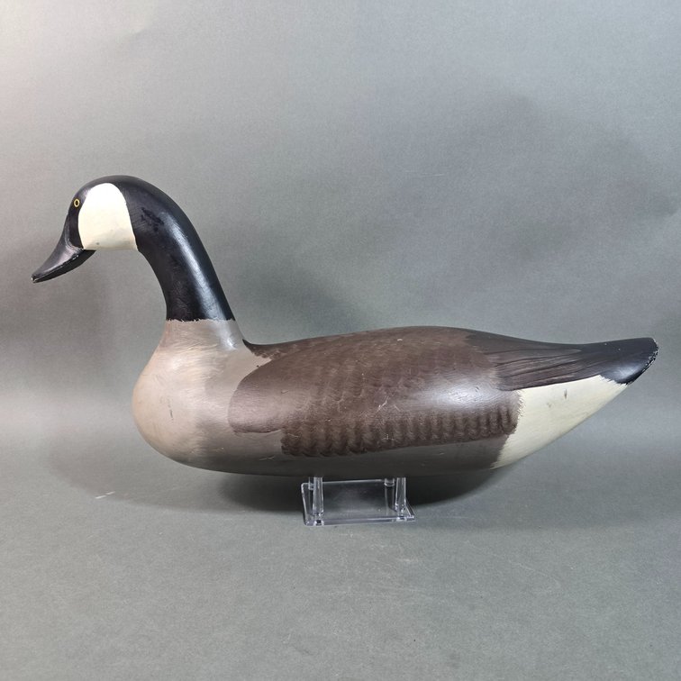 Madison Mitchell Havre de Grace,  MD Canada Goose