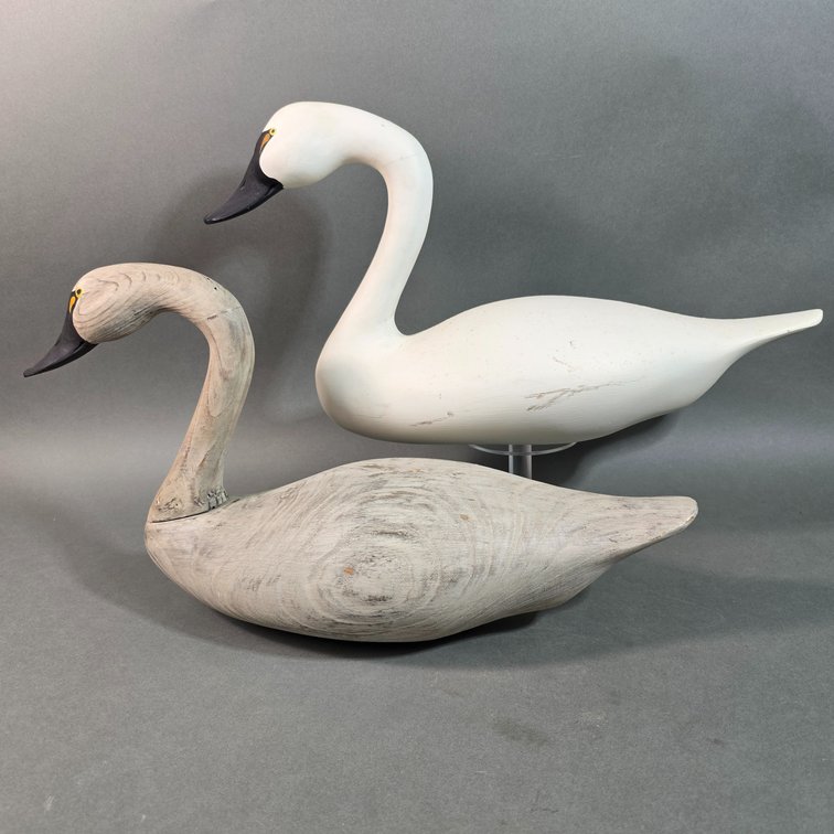John Clark, Havre de Grace,  MD Swans