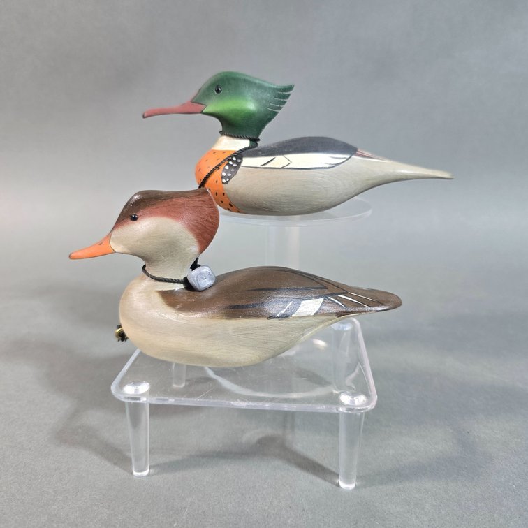 Joseph Lee, Virginia Beach,  VA Mini Mergansers