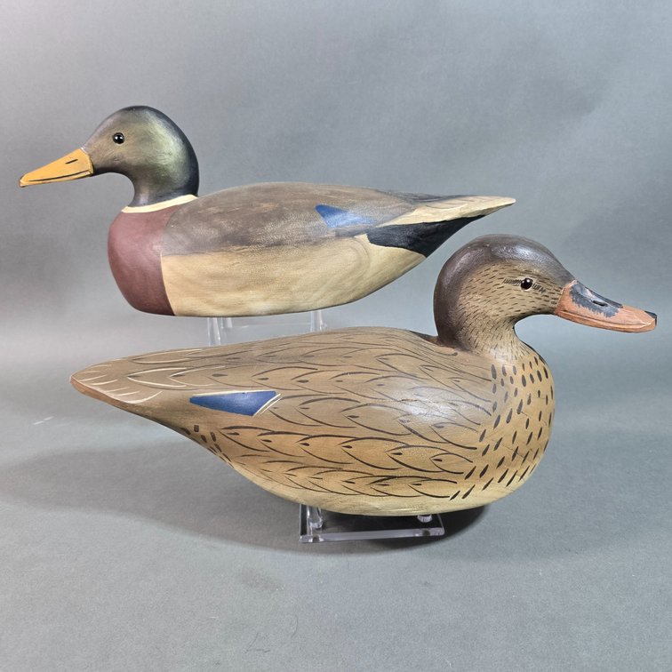 Jimmy Bowden,  Assawoman,  VA Mallard Pair