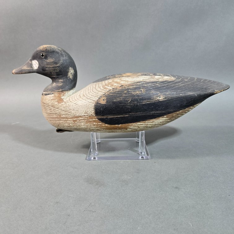 Henry Grant, Barnegat, NJ Goldeneye