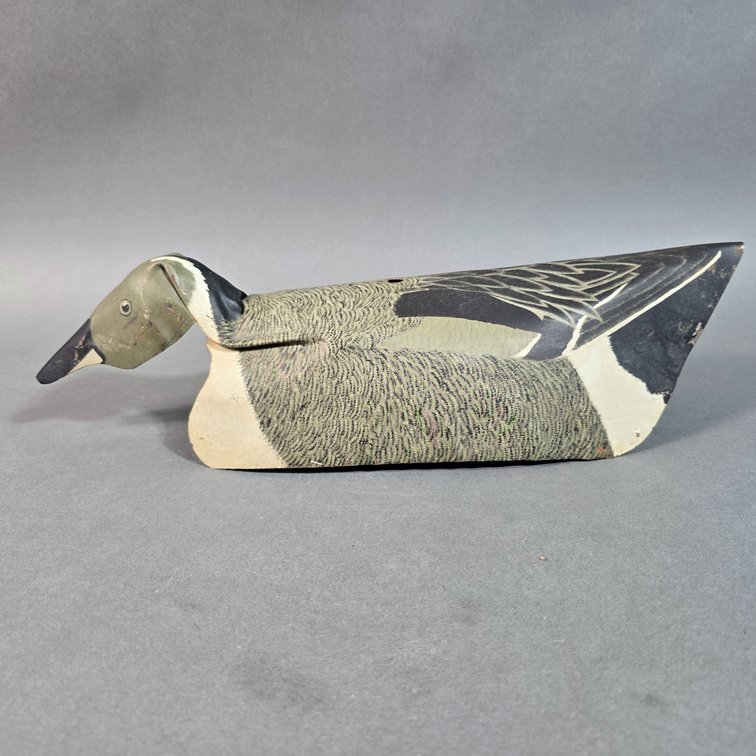 Contemporary Tin Pintail