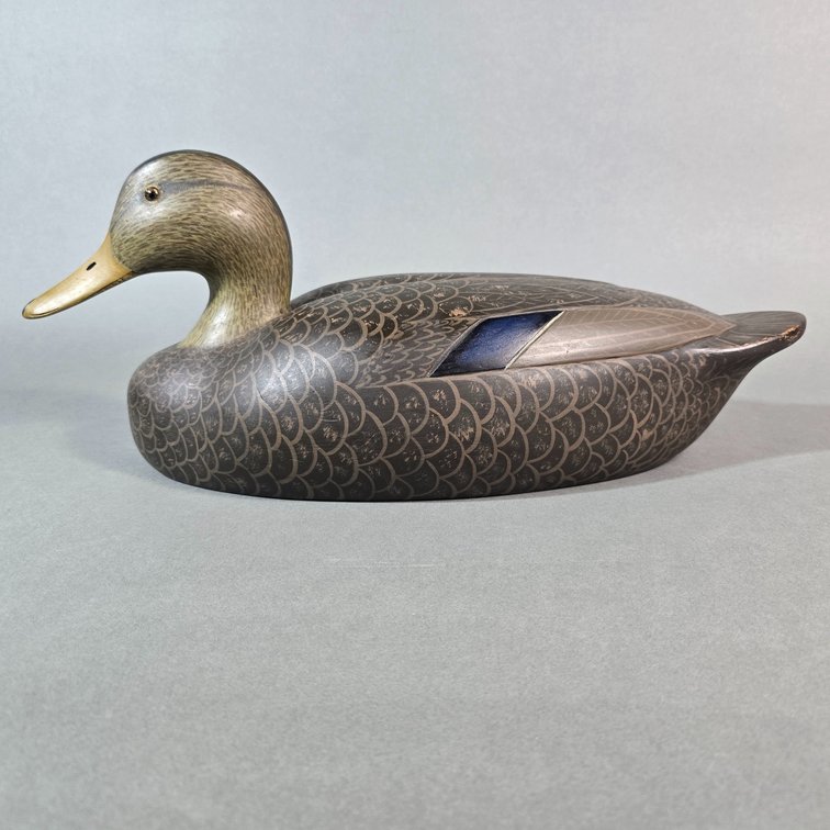 John McLoughlin,  Bordentown, NJ Black Duck