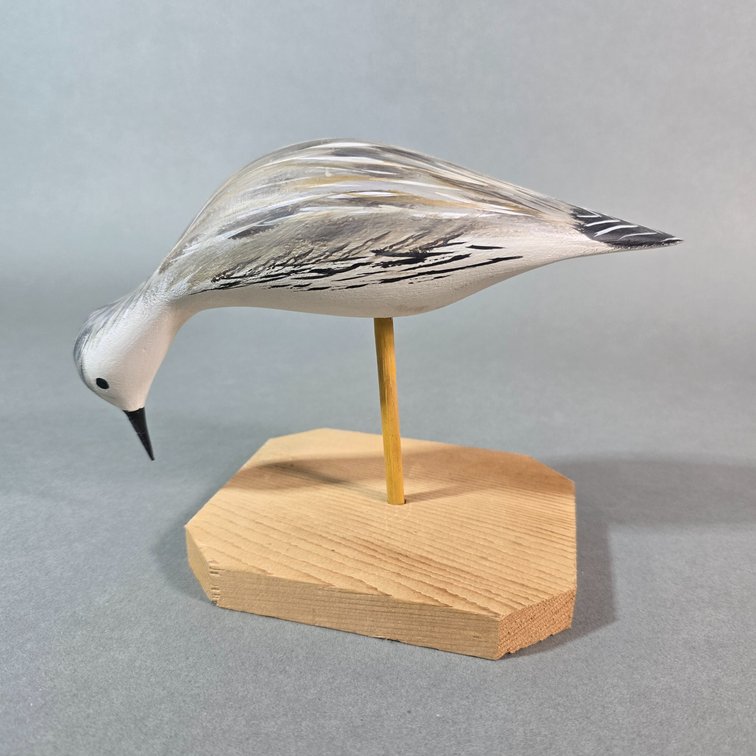 Billy Harrison Contemporary Feeding Shorebird