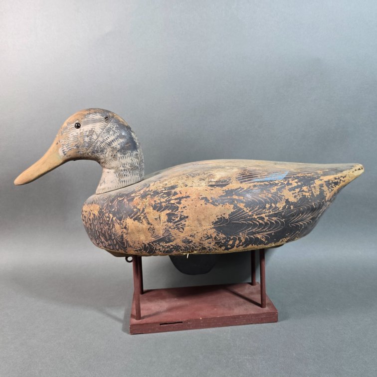Oversized Black Duck