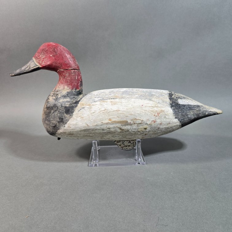 Doug Jester,  Chincoteague, VA Canvasback