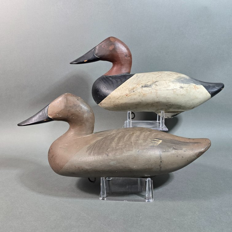 Madison Mitchell,  Havre de Grace,  MD Canvasback Pair