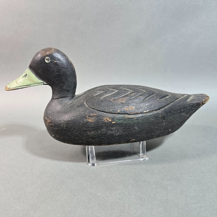Blackduck, Unknown