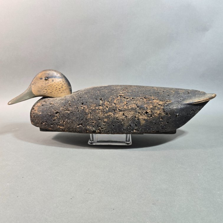 Factory Black Duck