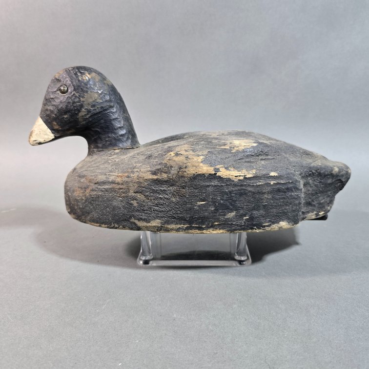 Factory Coot by Herters