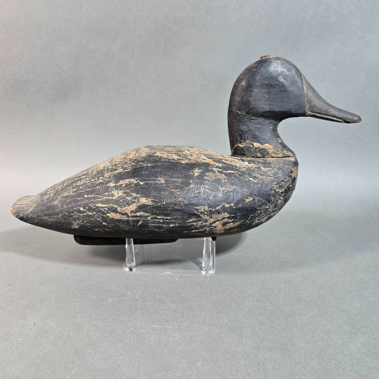 Black Duck by Unknown Maker