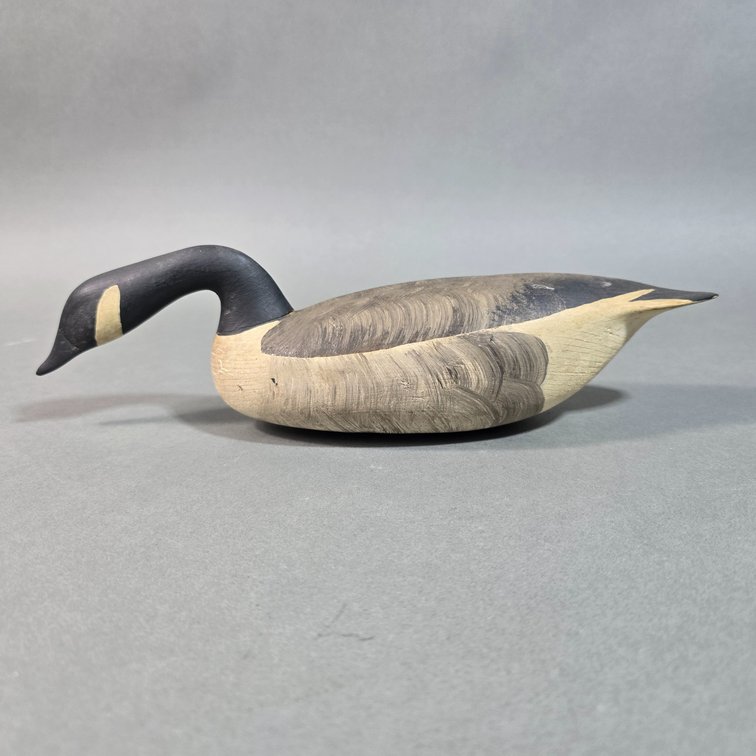 Mini Swimming Canada Goose From New Jersey