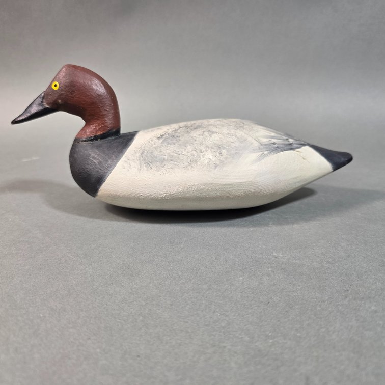 Upper Chesapeake Bay Canvasback Mini