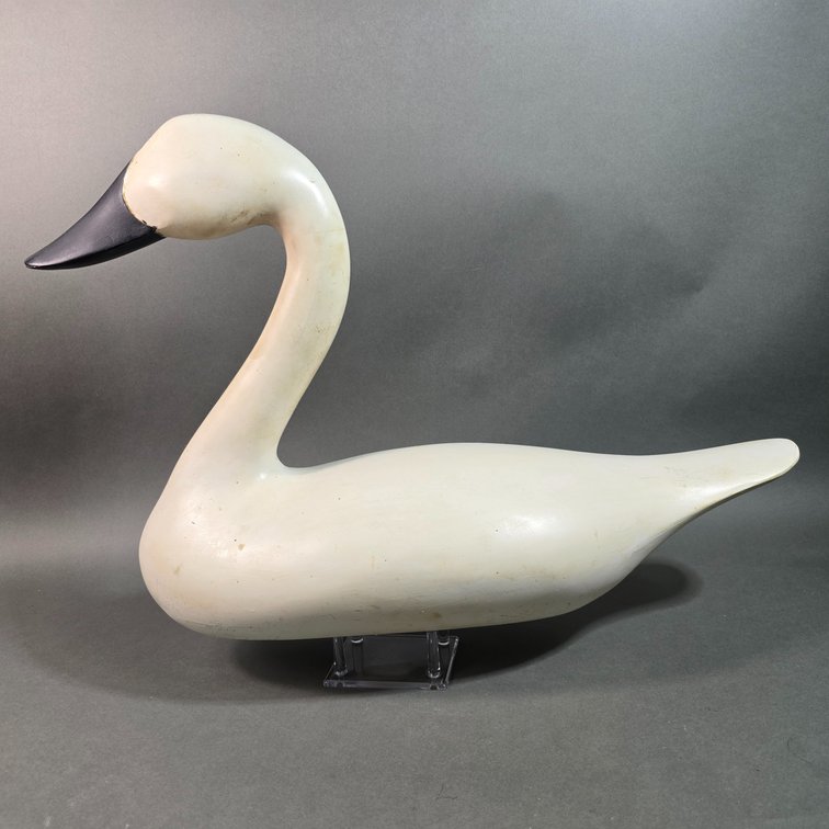Dave Unruh, Holtwood, Pennsylvania Swan