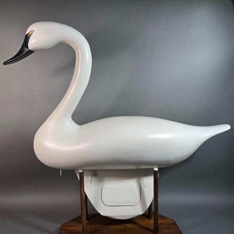 Jim Pierce Havre de Grace,  MD Swan