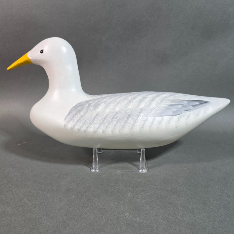 Dave Unruh,  Holtwood,  PA Seagull