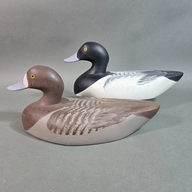 Dave Unruh, Pequca, PA Bluebill Wing Duck Pair