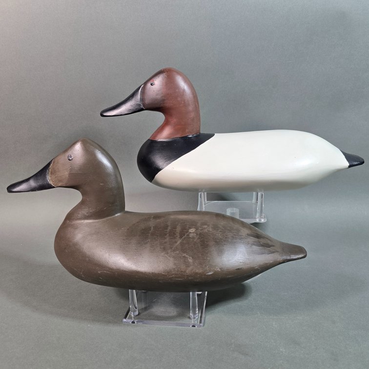 Dave Unruh, Holtwood,  PA Canvasback Pair