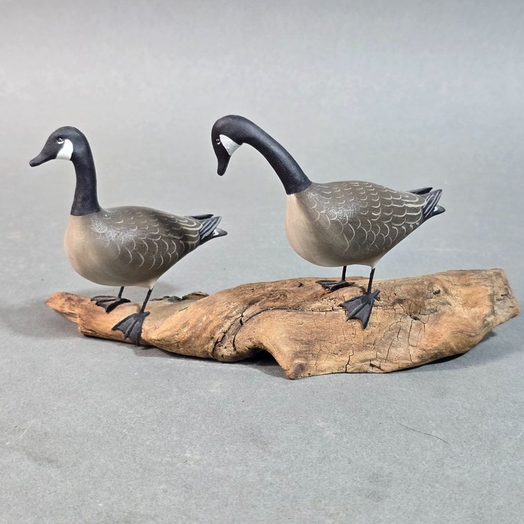 Allan Schauber,  Still Pond, MD Mini Canadas