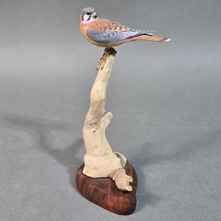 Billy Crockett,  Hunting Creek,  VA Kestrel