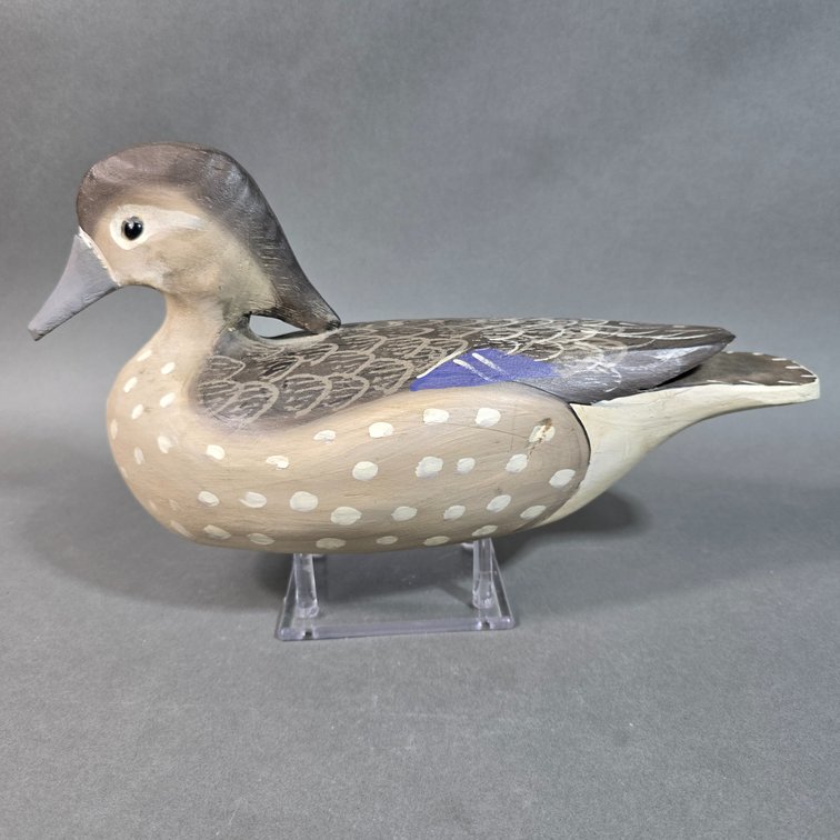 Jimmy Bowden,  Assawoman,  VA Wood Duck Hen
