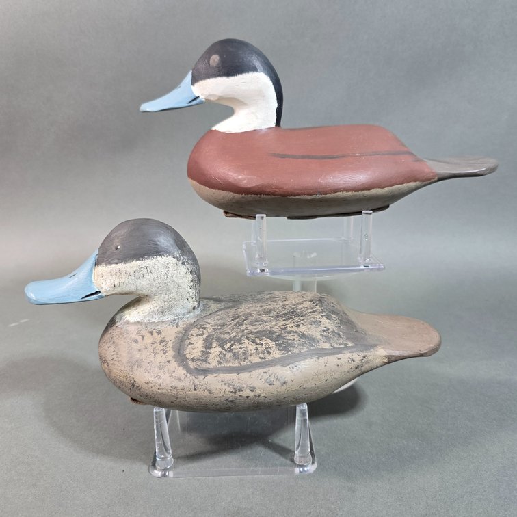 J. Evans McKinney,  Elkton,  MD Ruddy Duck Pair