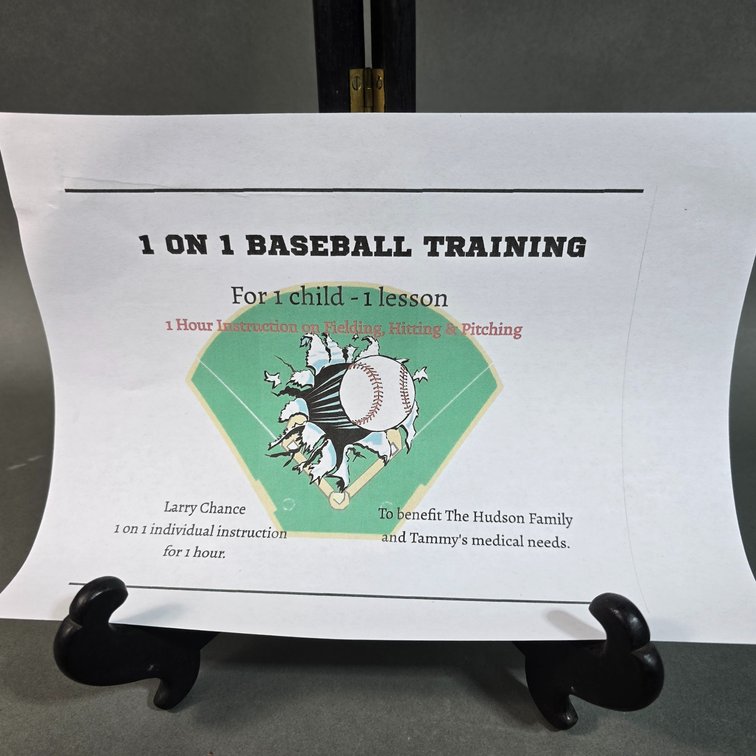 1 Hour Youth Baseball Training