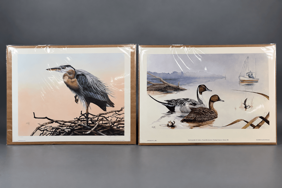 T R Jones, MD, Waterfowl Prints