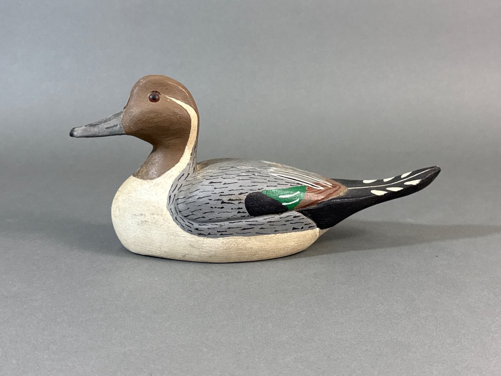 Curtis Carpenter, Chincoteague, Va, Pintail
