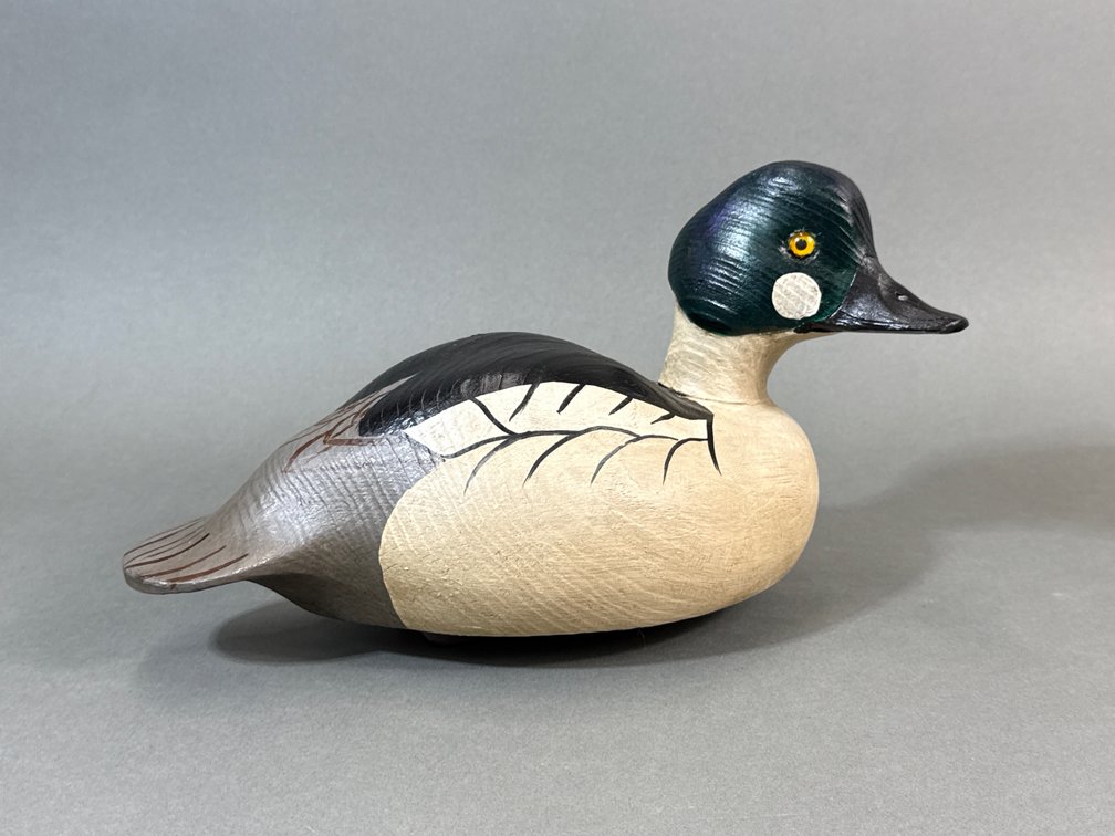William Veasey, MD, Goldeneye