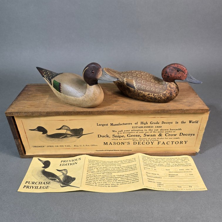 T.J. Hooker Pintail Mini Pair