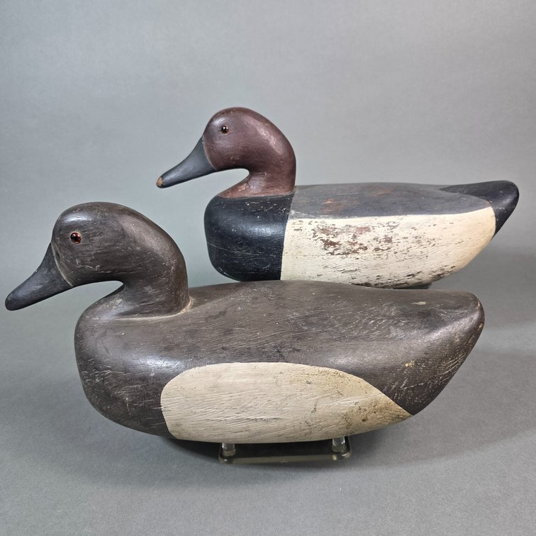 Canvasback Pair, Unknown