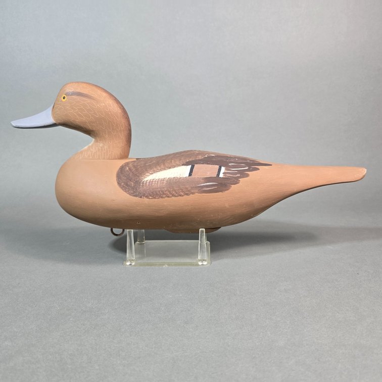 Paul Gibson,  Havre de Grace,  MD Pintail Hen