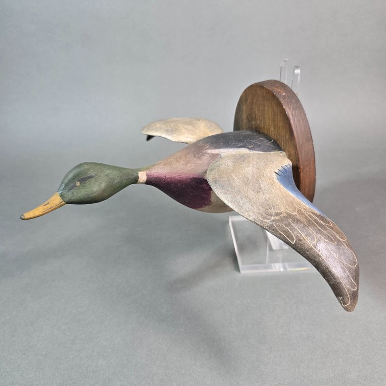 Zach Jester, Wallops Island,  VA Mallard